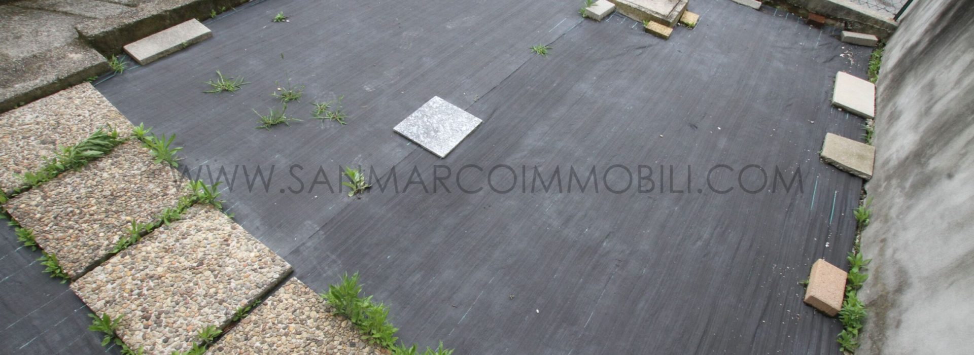 Lec04597 OR38